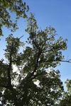2020-07-19_17-32-51_2020-7-19-15-55-22.jpg