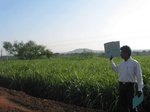 9351gt054a-cropland-rainfed-mixwd-crops.gif