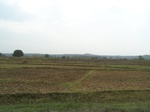 481602052008(14).JPG