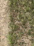 2017-07-04_15-55-33_4AF94158-8DA1-4BE6-B826-5DEDF0F38F3A.jpg