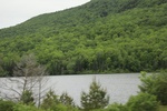 2022-06-11_17-54-40_DB81CD46-145B-472A-962F-FC87ED95C688.jpeg
