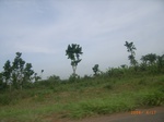 3735RIMG0038.JPG