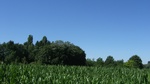 2016-07-25_03-26-55_DSCF1482.JPG