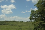 2022-06-12_14-58-00_2117BD81-1560-4C22-BD70-FE0210408773_1_201_a.jpeg