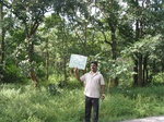 9824gt0122a-forests-young-secondary-forest-dominated-by-shrubs.gif