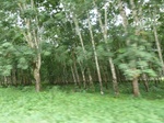 20407P1020264.JPG