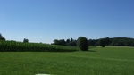 2016-07-25_03-26-56_DSCF1492.JPG