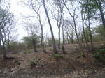 4021RIMG0325.JPG