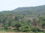 1728520042008(68).JPG