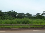 19857P1010707.JPG