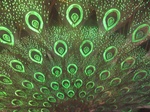 14910IMG_5304.JPG