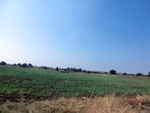 41263CIMG8100.JPG
