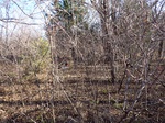 2020-11-25_12-35-07_PA310012_P1_C2.JPG