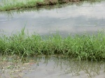2012-09-07_10-07-09_CIMG6654.JPG