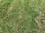 2018-09-01_10-24-22_ground.jpg