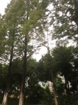 2017-09-10_20-38-52_748364EB-5440-47DB-8EB4-E5011C1C1817.jpg