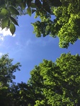 2018-06-26_19-31-34_AC10CCA8-C803-4B33-A3D5-BDE9ADE05FDD.jpg