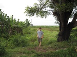 15594IMG_4665.JPG