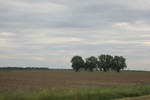2022-06-11_16-13-22_7A69420B-725D-4284-B96A-536A0B516C22.jpeg
