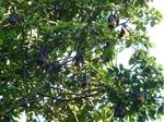 2012-10-17_20-32-19_397.JPG