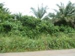 20265P1020120.JPG