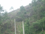 2012-09-08_19-26-07_RIMG0092.JPG