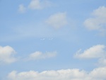 2017-06-12_12-50-20_DSCN3747.JPG