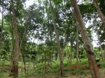 2012-09-26_20-48-17_CIMG0991.JPG