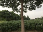 2017-09-12_10-31-50_5AAC5992-7651-46F5-BE97-9AD2E1B26764.jpg