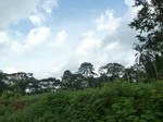 20175P1020027.JPG
