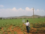 7777gt027a-cropland-rainfed-mixed-crops-sup-irrigation.jpg