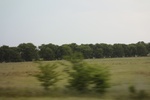 2022-05-26_14-58-42_EF72AD84-F2F7-4A7D-9F9F-3895946085C2.jpeg