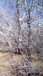 2017-02-24_14-46-20_Feb17-123-AZ.jpg