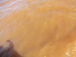 2012-09-21_14-26-19_CIMG0055.JPG