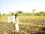6520gt039-cropland-2.jpg