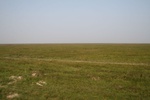 4503IMG_8586.jpg