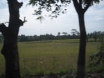 14553IMG_4919.JPG