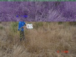 11064gt-165-wetland-dry-stream-bed-02.jpg
