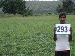 130490293b-rainfed-agriculture-soyabean-doublecrop-wheat.gif
