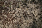 177IMG_4073.JPG