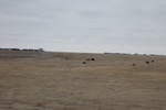 2017-05-07_17-08-06_2017-03-11 12.32.18.jpg