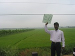 7763gt020a-cropland-irrigated-rice-tunga.jpg