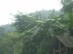 2012-09-08_19-26-36_RIMG0062.JPG