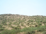 1784026042008(20).JPG