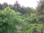 498619042008(86).JPG