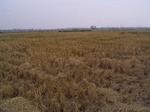 3273R0017307.JPG
