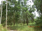 2012-09-26_20-48-14_CIMG0970.JPG