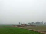 41988CIMG9195.JPG