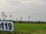 68170119b-irrigated-supplemental-tank-rice-single-crop.jpg