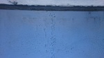 2017-02-17_14-02-55_DSC_0760.JPG
